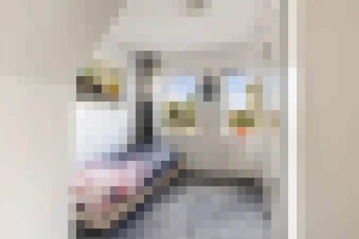 Dobbehôf 51 Goutum thumbnail 43