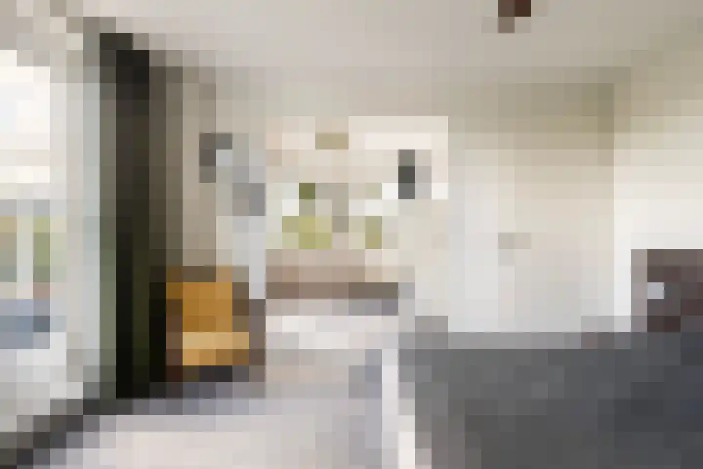 Dobbehôf 51 Goutum thumbnail 44