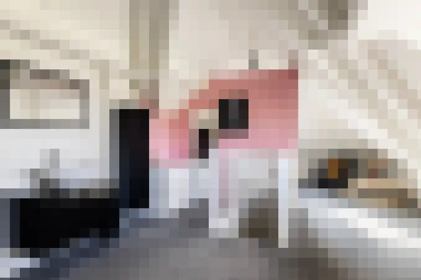 Dobbehôf 51 Goutum thumbnail 48