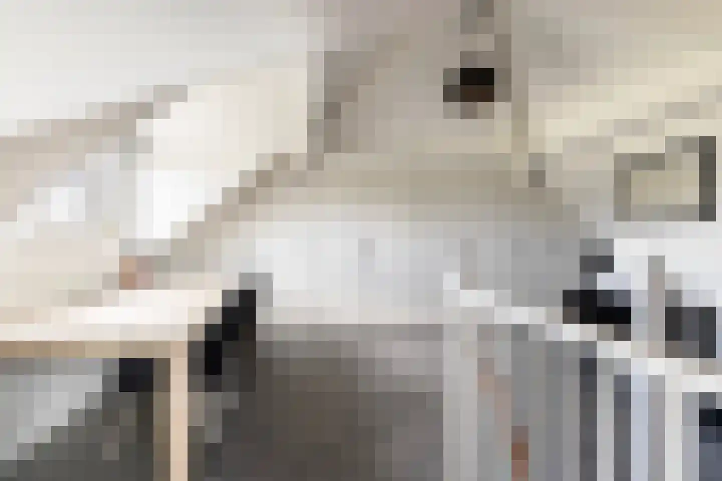 Dobbehôf 51 Goutum thumbnail 49