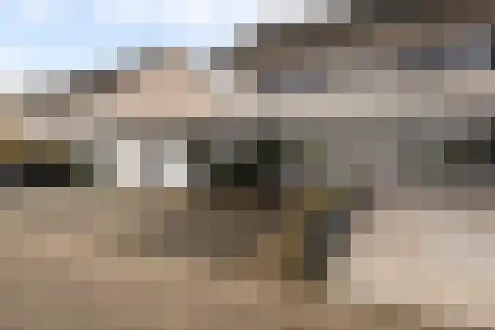 Dobbehôf 93 Goutum thumbnail 10