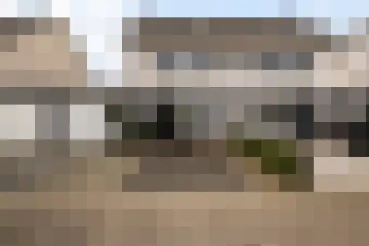 Dobbehôf 93 Goutum thumbnail 13