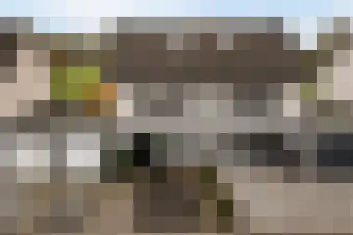 Dobbehôf 93 Goutum thumbnail 14