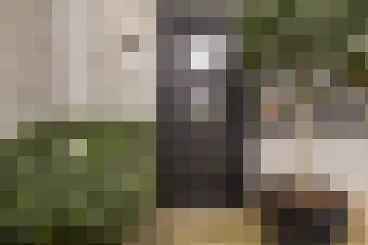 Dobbehôf 93 Goutum thumbnail 15
