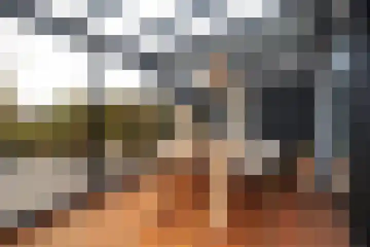 Dobbehôf 93 Goutum thumbnail 19