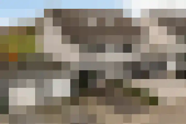Dobbehôf 93 Goutum foto 2