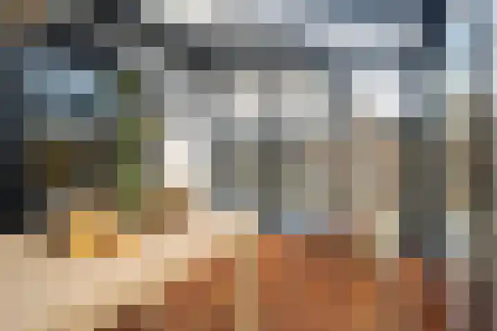 Dobbehôf 93 Goutum thumbnail 20