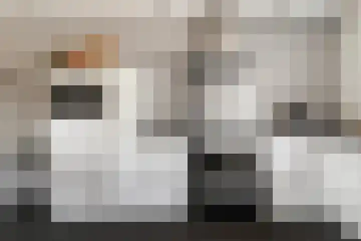 Dobbehôf 93 Goutum thumbnail 27