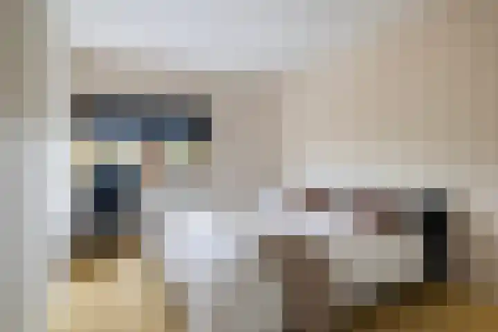 Dobbehôf 93 Goutum thumbnail 28