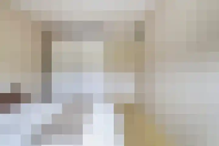Dobbehôf 93 Goutum thumbnail 29