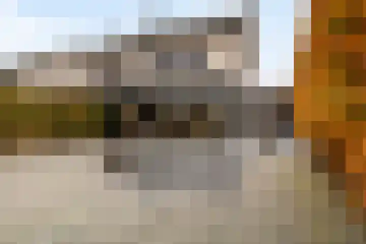Dobbehôf 93 Goutum foto 3