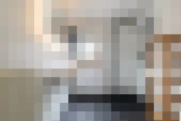 Dobbehôf 93 Goutum thumbnail 30
