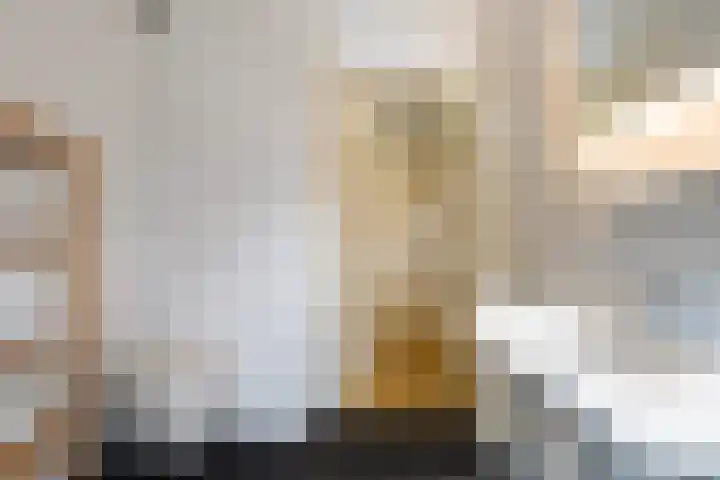 Dobbehôf 93 Goutum thumbnail 31