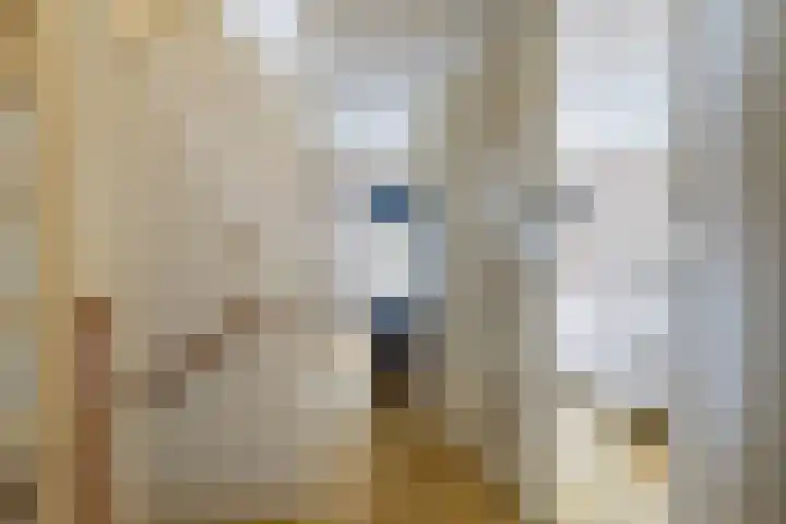Dobbehôf 93 Goutum thumbnail 37