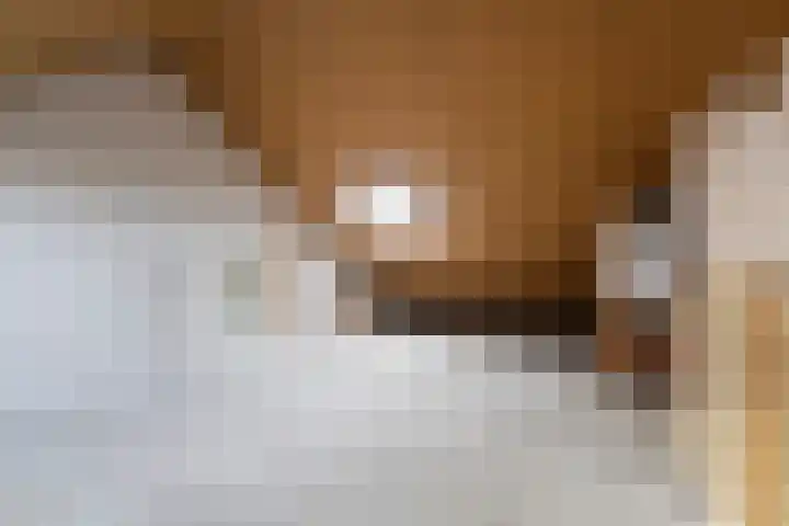 Dobbehôf 93 Goutum thumbnail 39