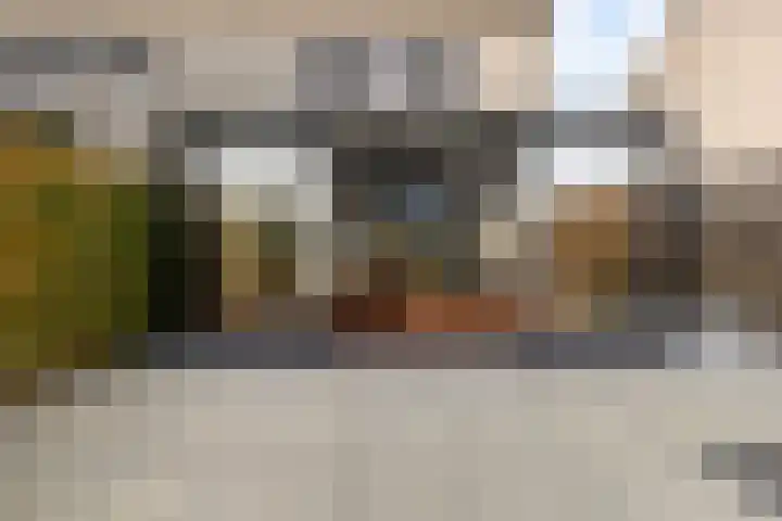 Dobbehôf 93 Goutum thumbnail 4