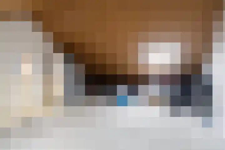 Dobbehôf 93 Goutum thumbnail 40