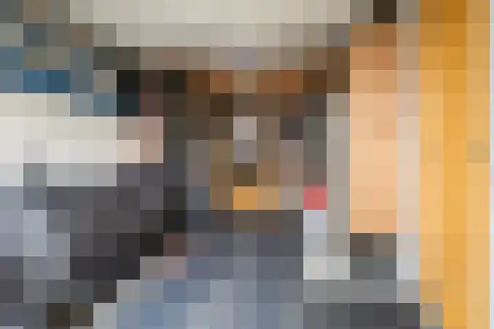 Dobbehôf 93 Goutum thumbnail 41