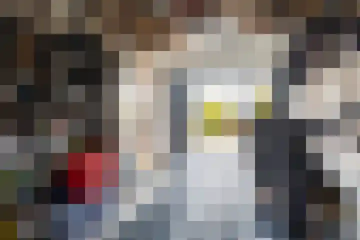 Dobbehôf 93 Goutum thumbnail 42