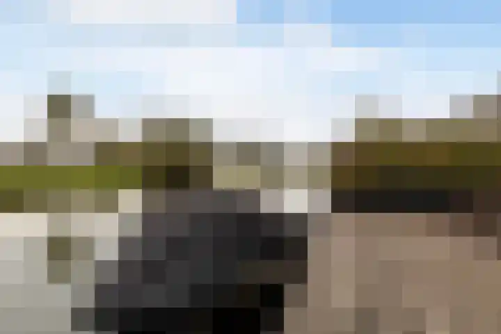Dobbehôf 93 Goutum thumbnail 5