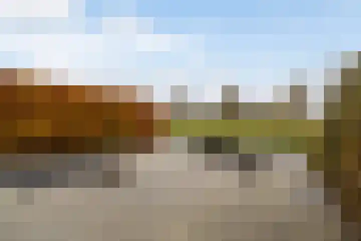 Dobbehôf 93 Goutum thumbnail 6