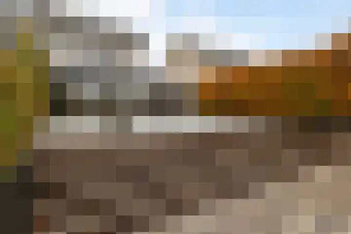 Dobbehôf 93 Goutum thumbnail 7