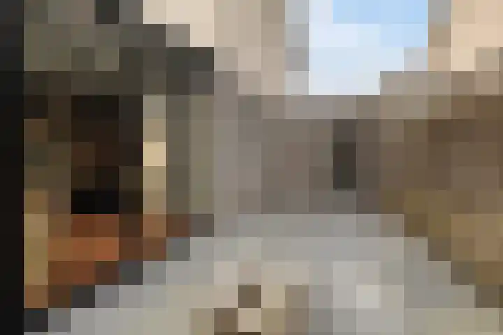 Dobbehôf 93 Goutum thumbnail 8