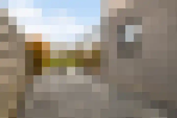 Dobbehôf 93 Goutum thumbnail 9