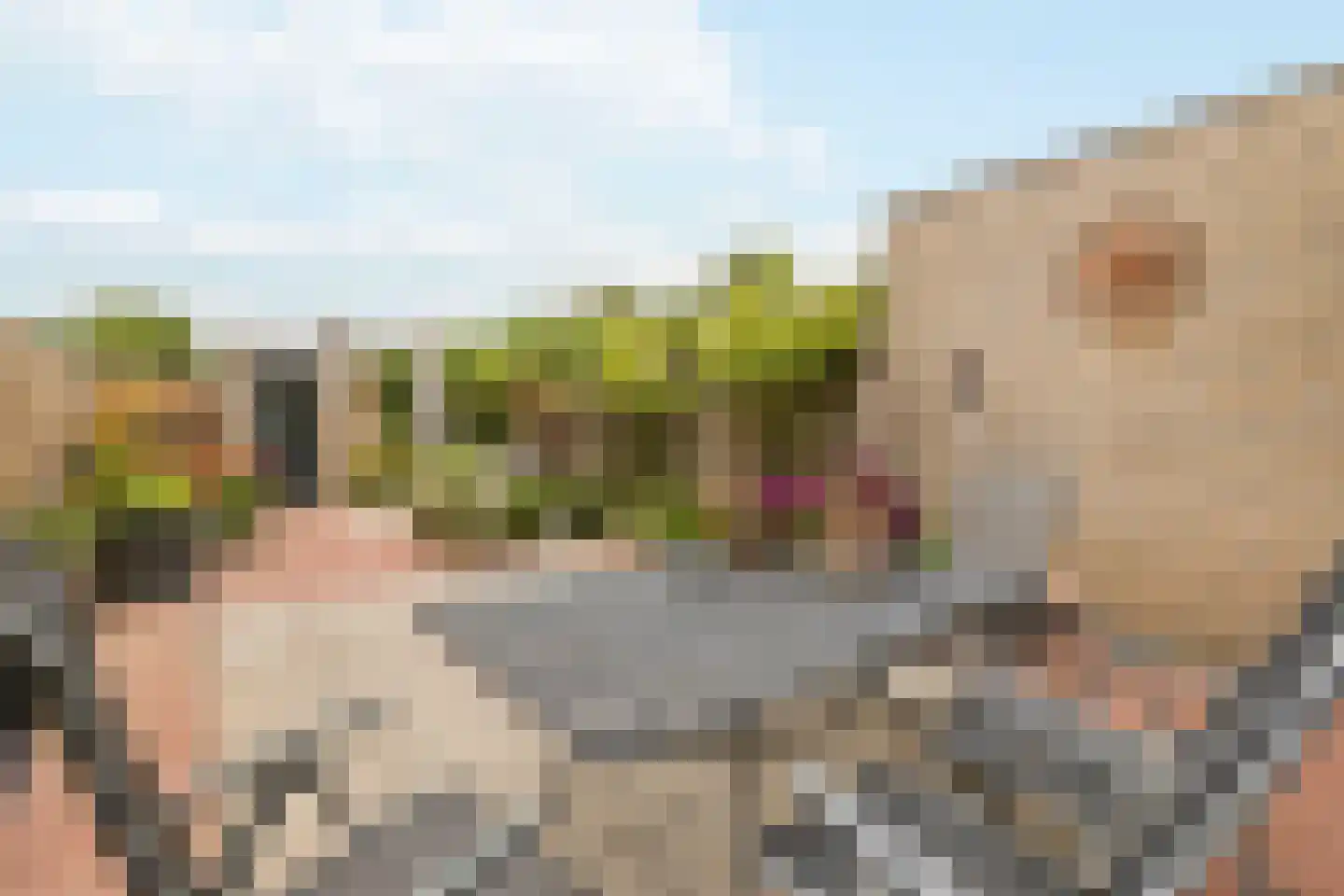 Dobbelaan 47 Nederhorst den Berg thumbnail 12