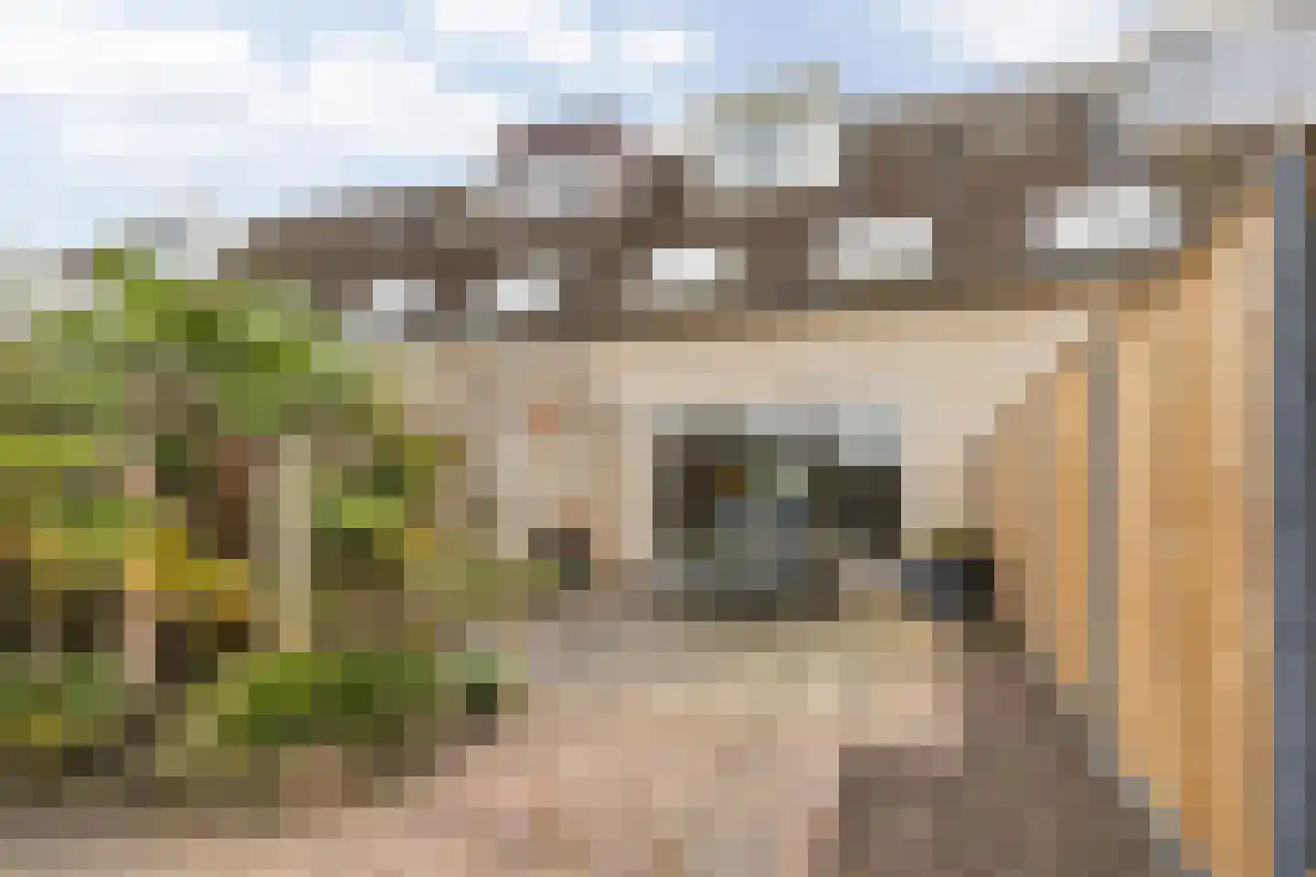 Dobbelaan 47 Nederhorst den Berg thumbnail 12