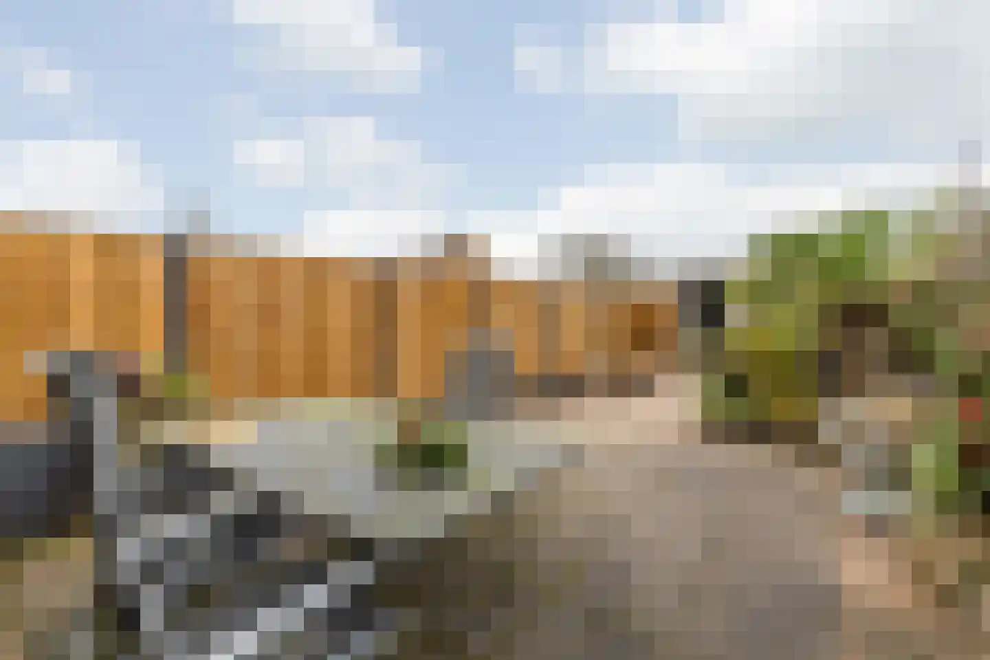 Dobbelaan 47 Nederhorst den Berg thumbnail 4