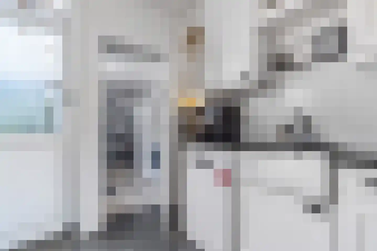 Dobbelân 6 Easterein thumbnail 16