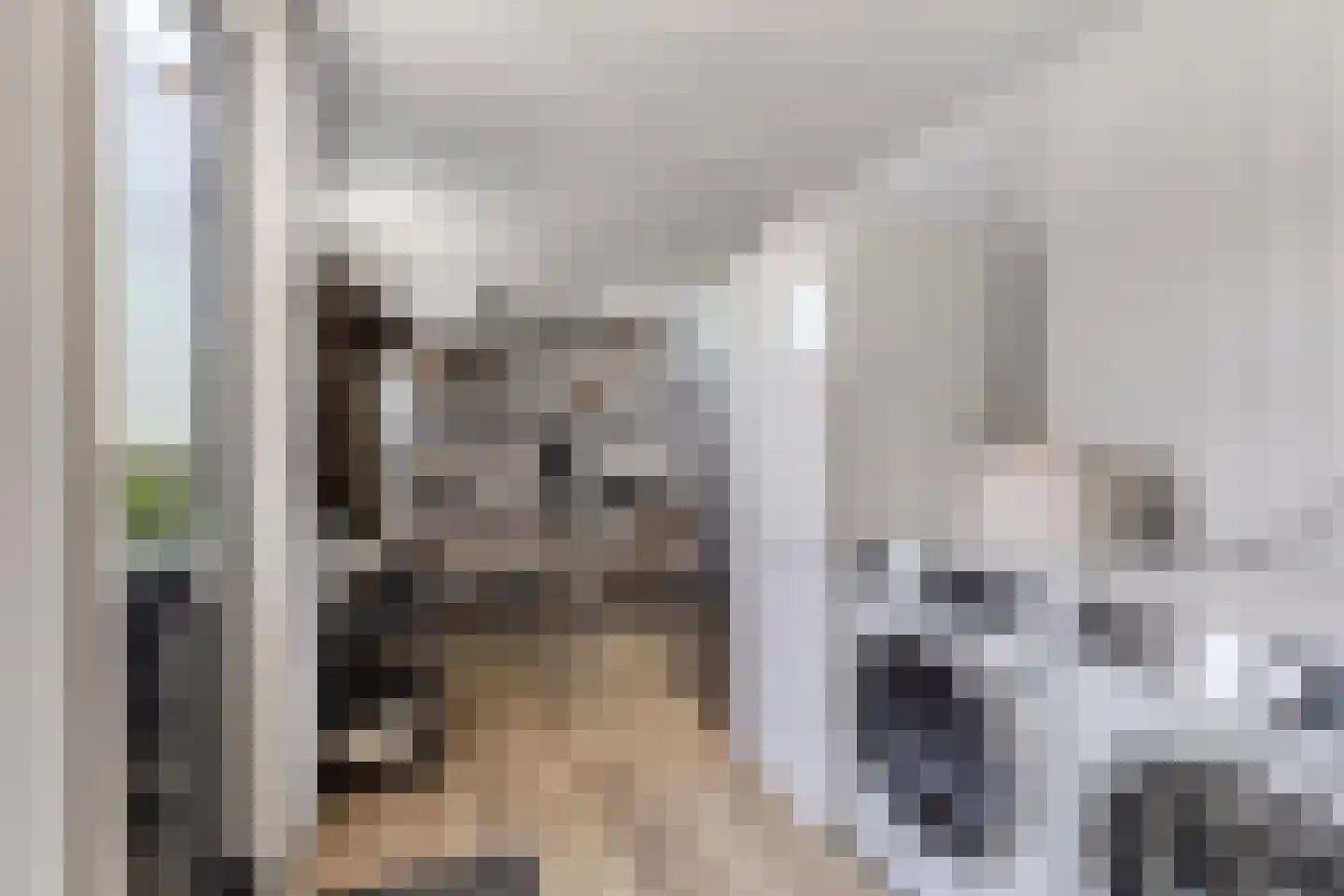 Dobbelân 6 Easterein thumbnail 17