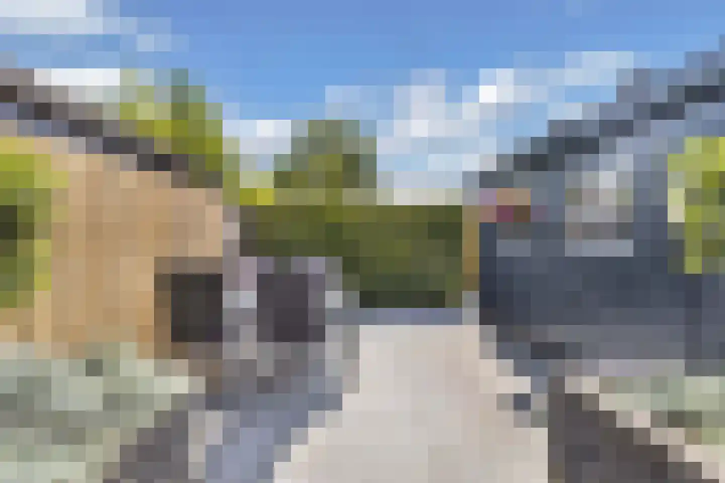 Dobbelân 6 Easterein thumbnail 36
