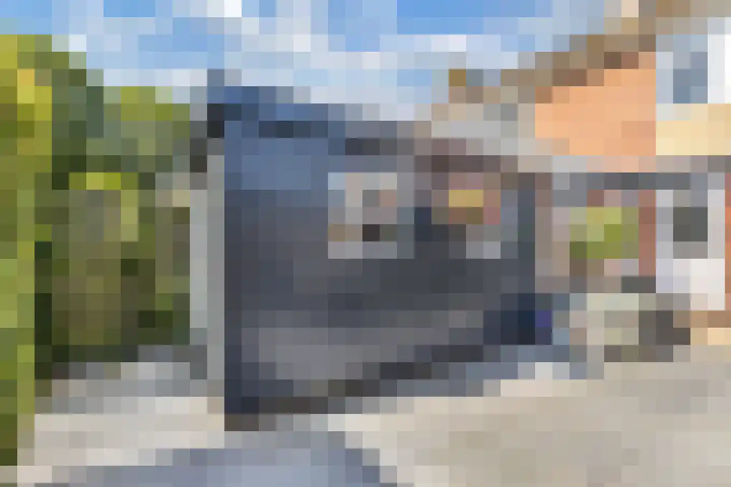 Dobbelân 6 Easterein thumbnail 37