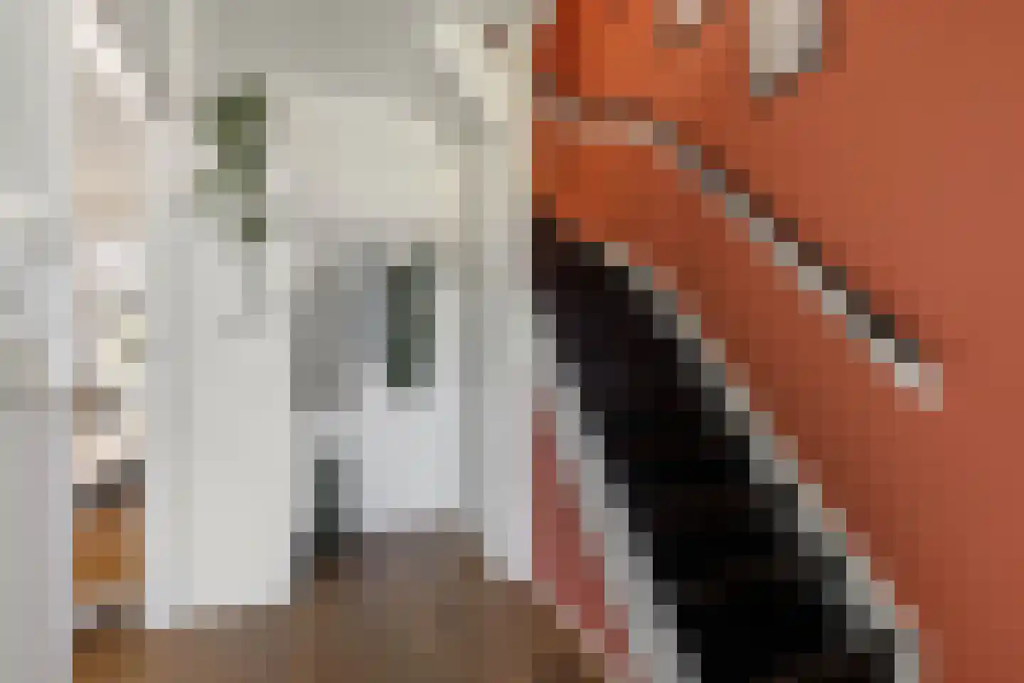 Dobbelân 6 Easterein thumbnail 7