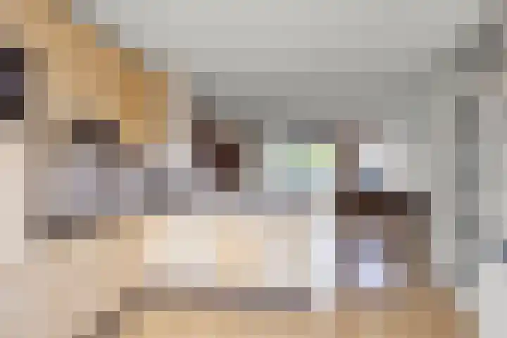 Dobbeleane 11 Sint Nicolaasga thumbnail 12