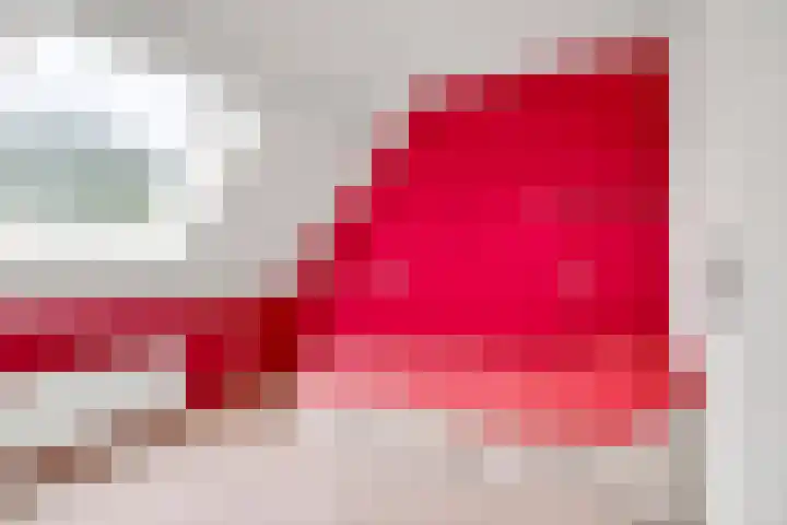 Dobbeleane 11 Sint Nicolaasga thumbnail 17