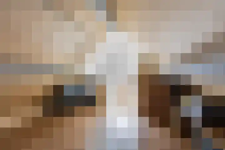 Dobbeleane 11 Sint Nicolaasga thumbnail 21