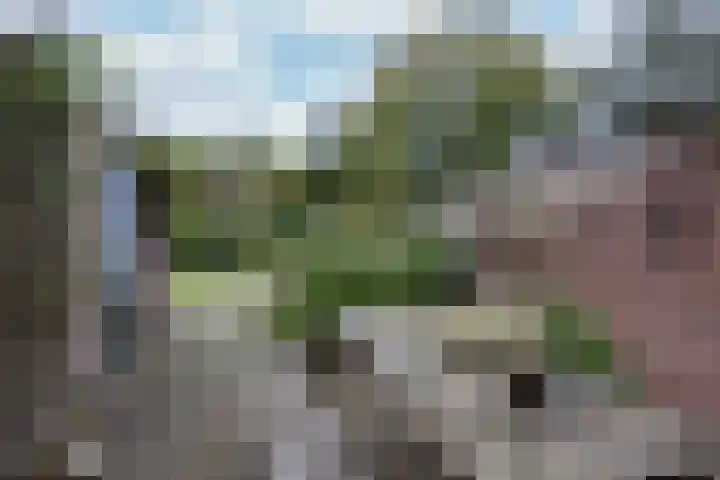 Dobbeleane 11 Sint Nicolaasga thumbnail 23