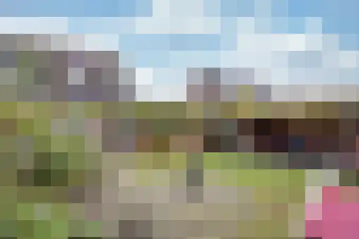 Dobbeleane 11 Sint Nicolaasga thumbnail 27