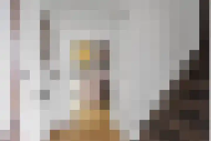 Dobbeleane 11 Sint Nicolaasga thumbnail 6