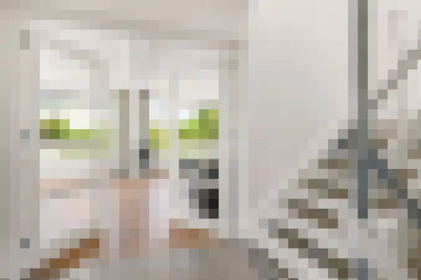 Dobbelmannduin 3 Noordwijk thumbnail 13