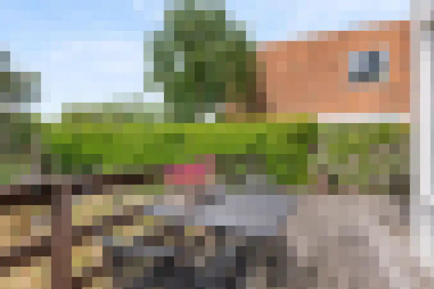 Dobbelmannduin 3 Noordwijk thumbnail 29
