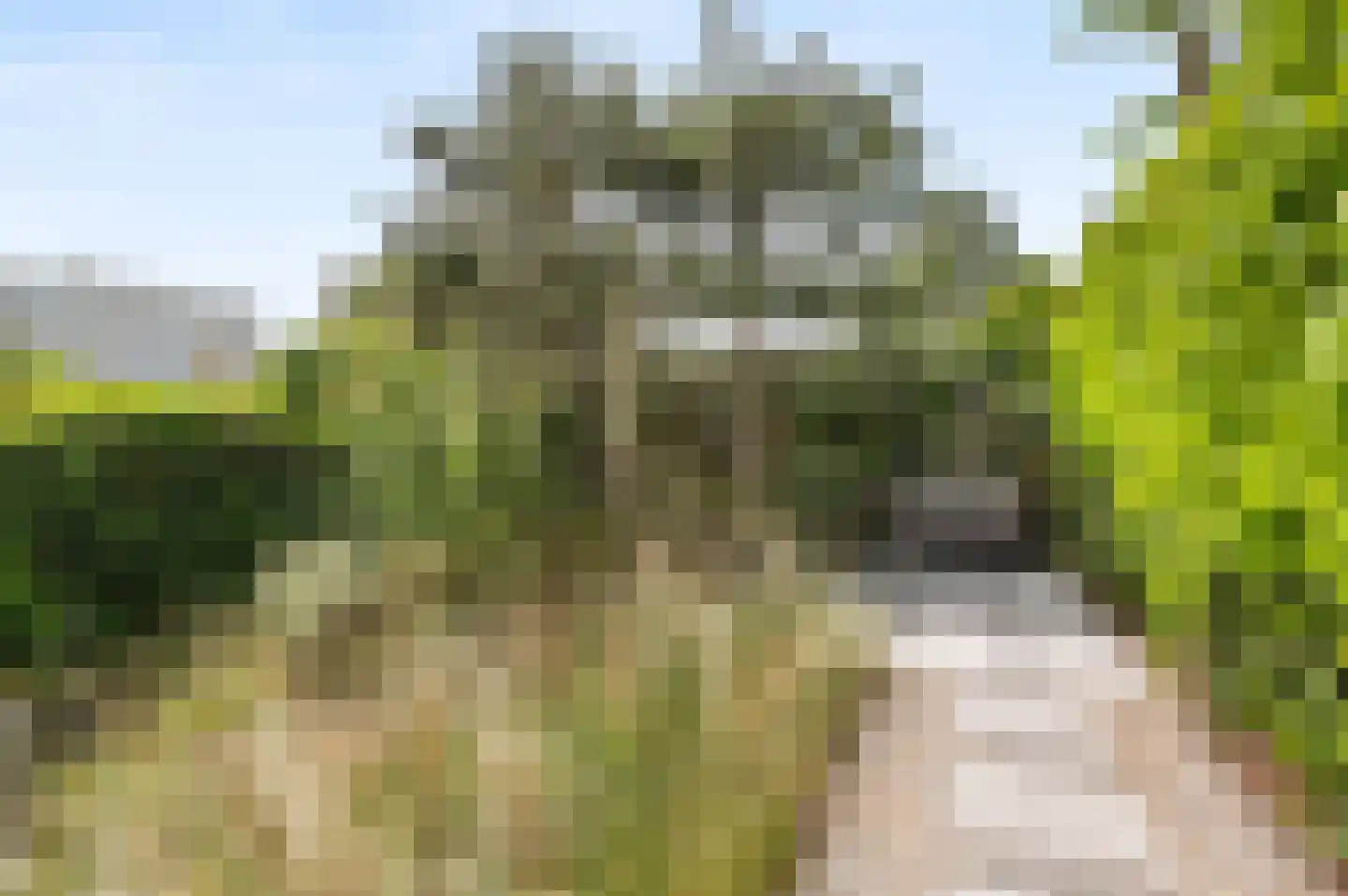 Dobbelmannduin 3 Noordwijk thumbnail 31