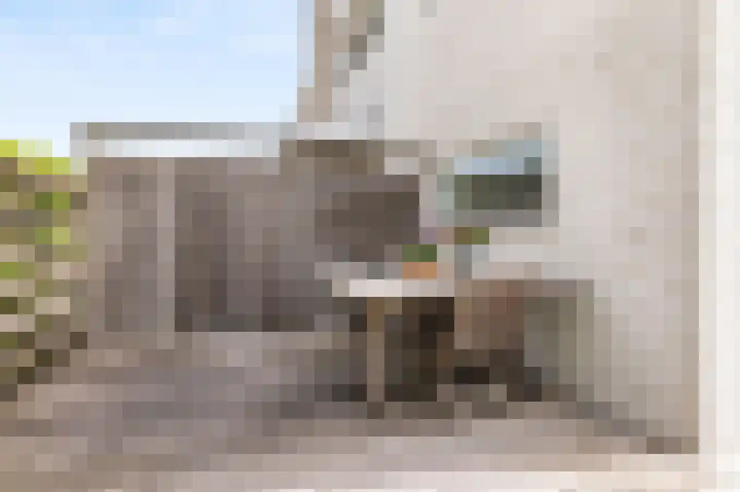 Dobbelmannduin 3 Noordwijk thumbnail 33