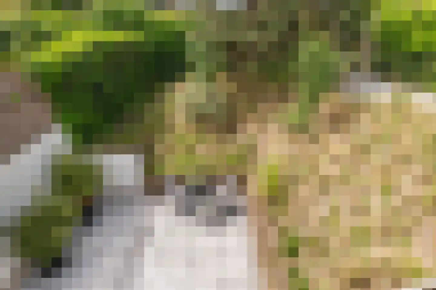 Dobbelmannduin 3 Noordwijk thumbnail 34