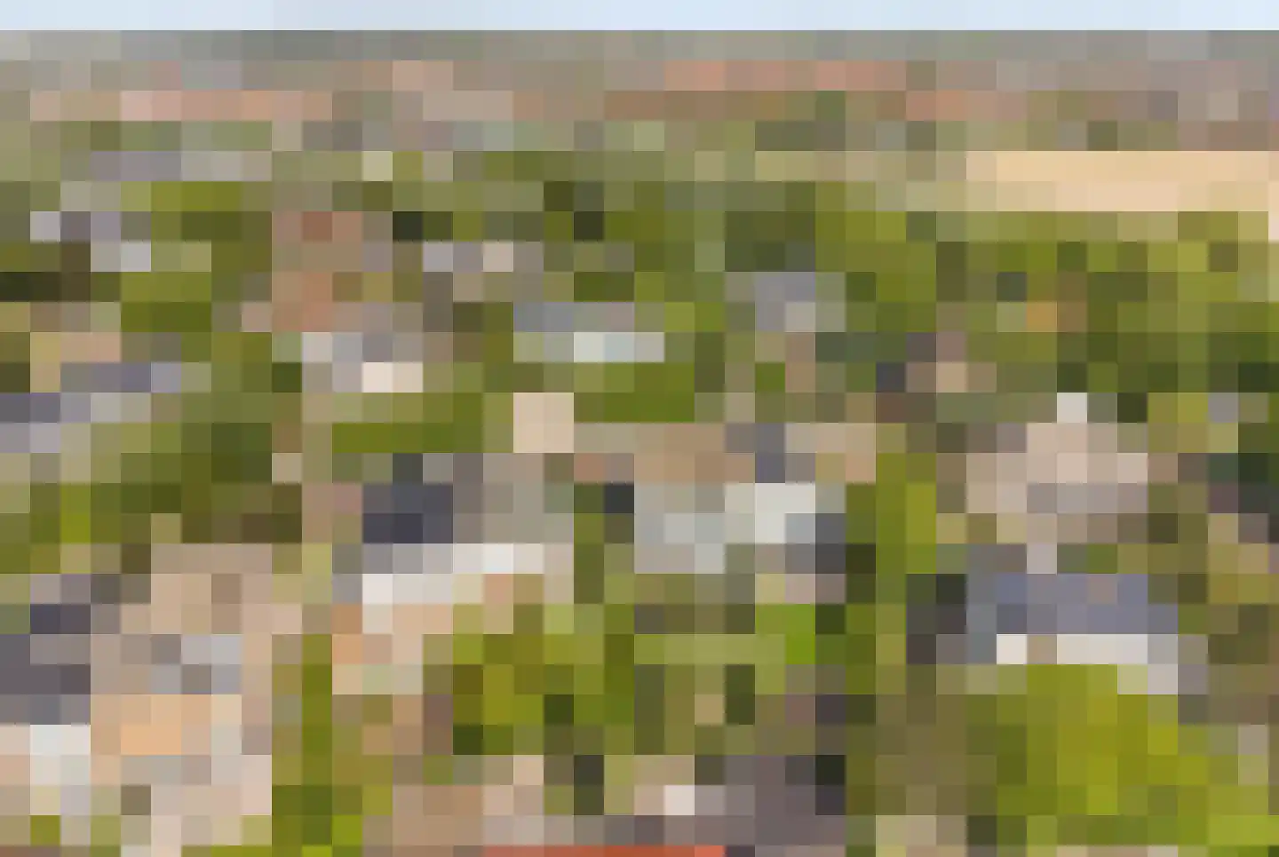 Dobbelmannduin 3 Noordwijk thumbnail 35
