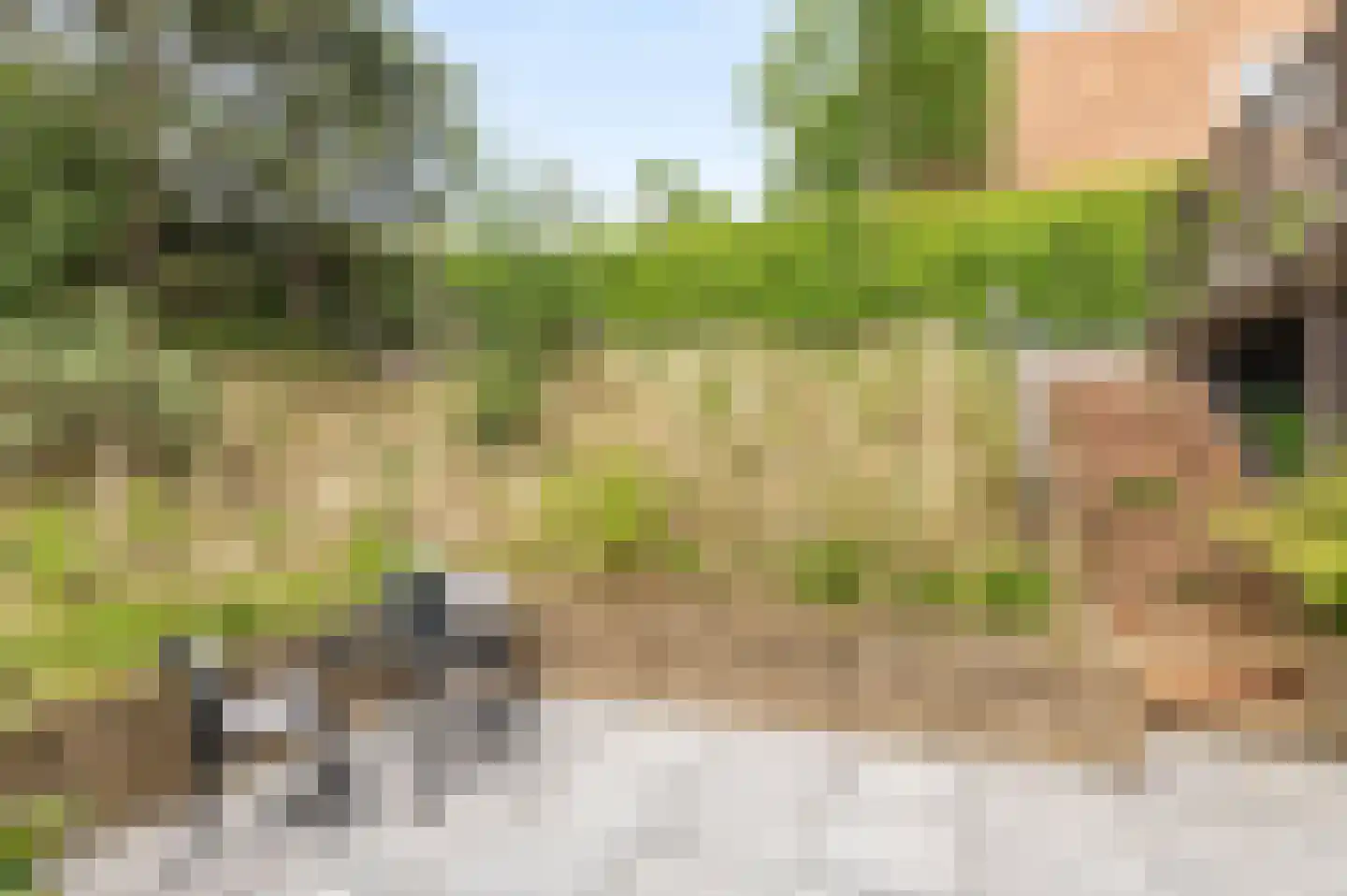 Dobbelmannduin 3 Noordwijk thumbnail 47