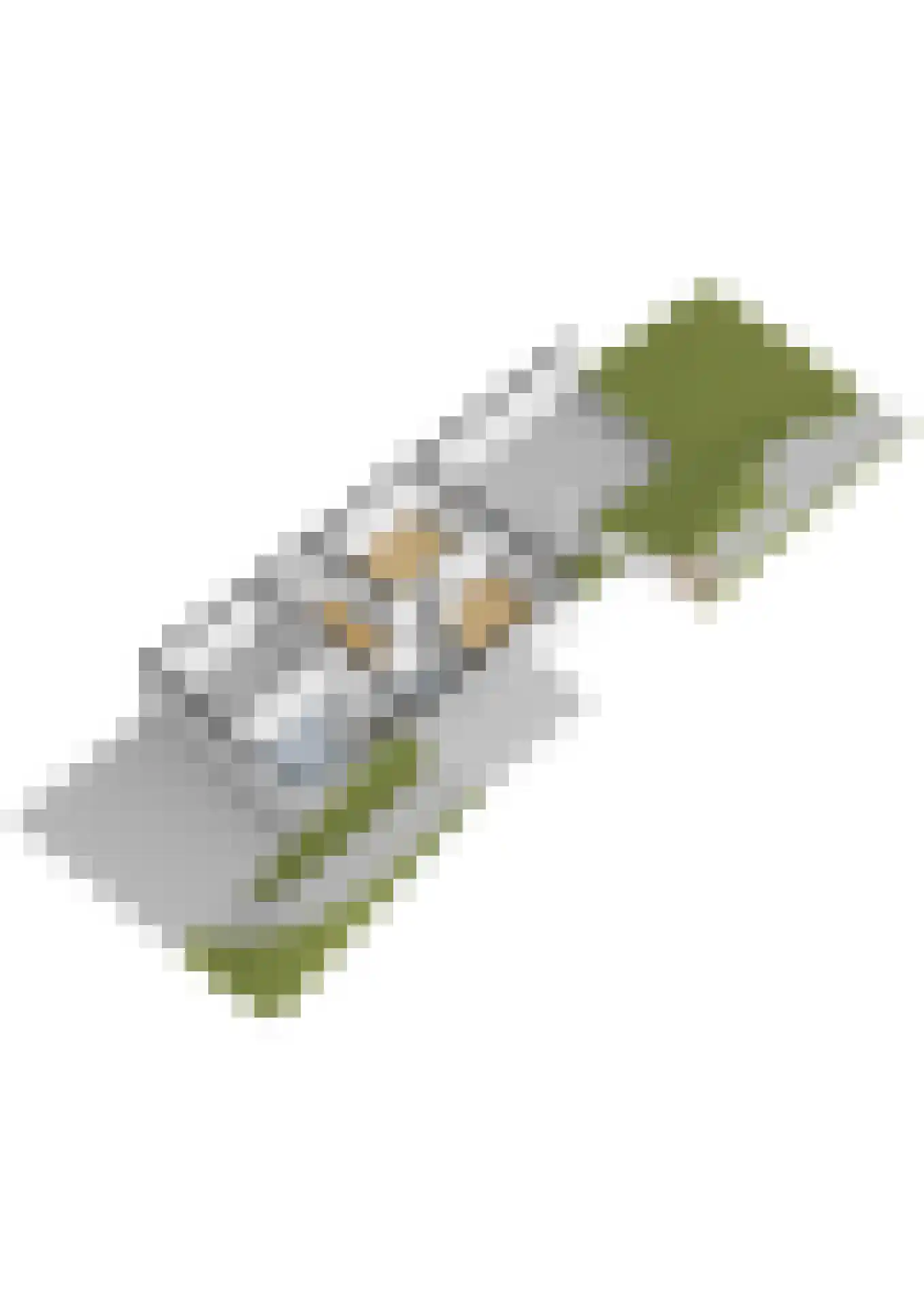 Dobbelmannduin 3 Noordwijk thumbnail 67